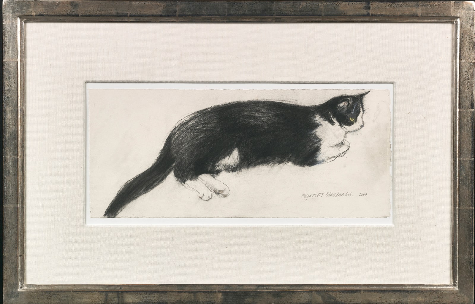 Elizabeth Blackadder RSA, Black and White Cat 'Fred', 2000
