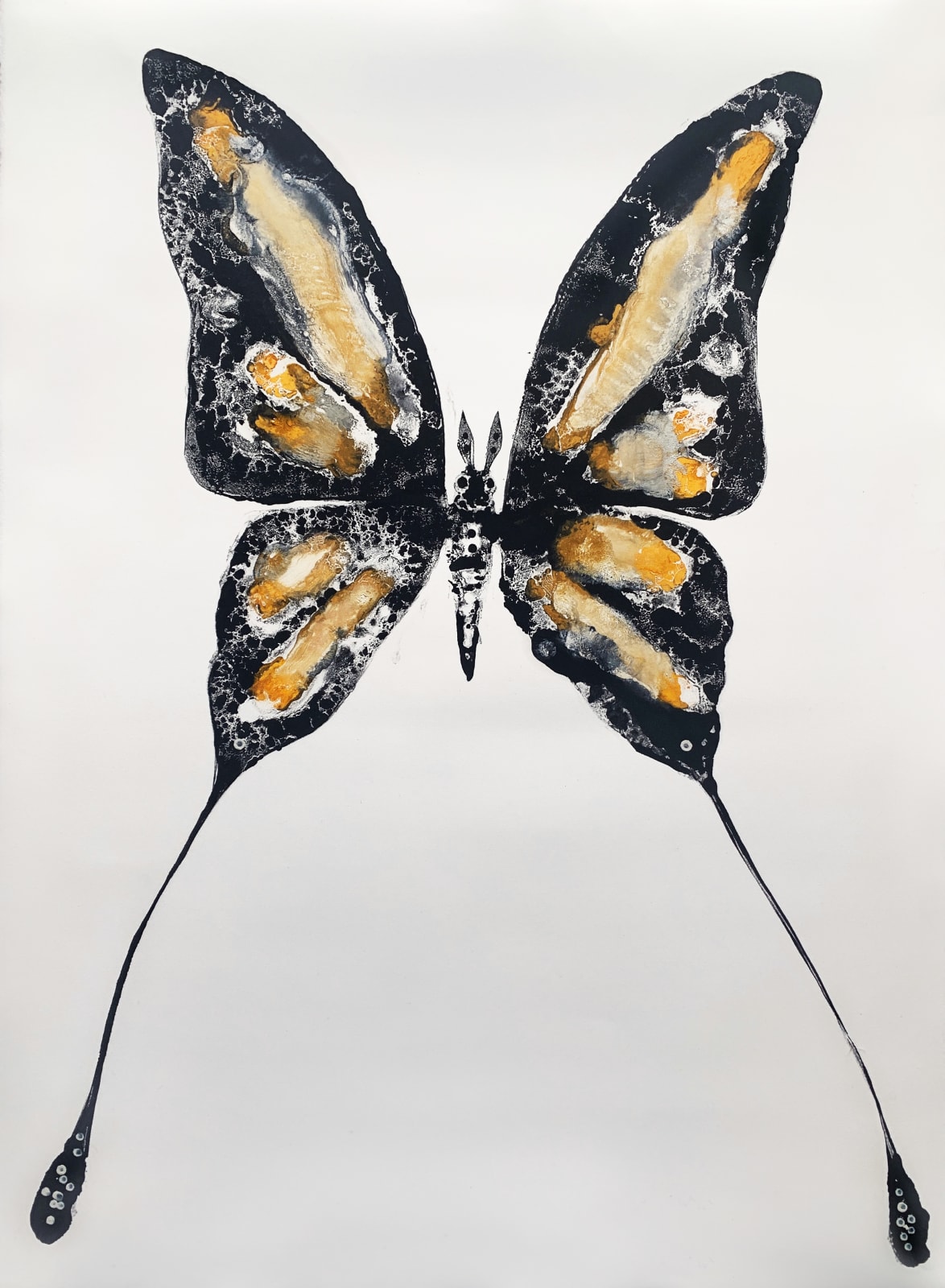 Stuart MacKenzie RSA, Species Morphology: Comet Moth Swallowtail Hybrid 1