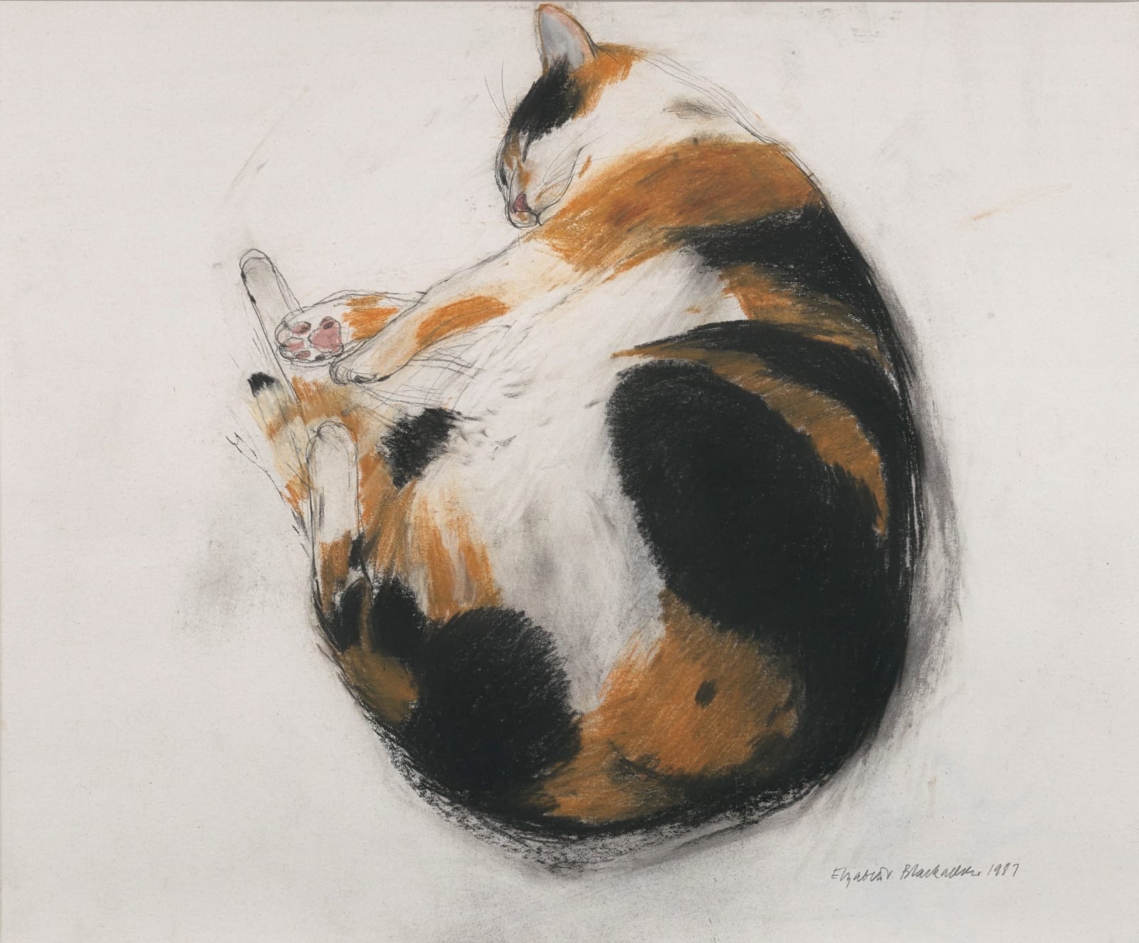 Elizabeth Blackadder RSA, Tortoiseshell Cat, Coco, Sleeping, 1987