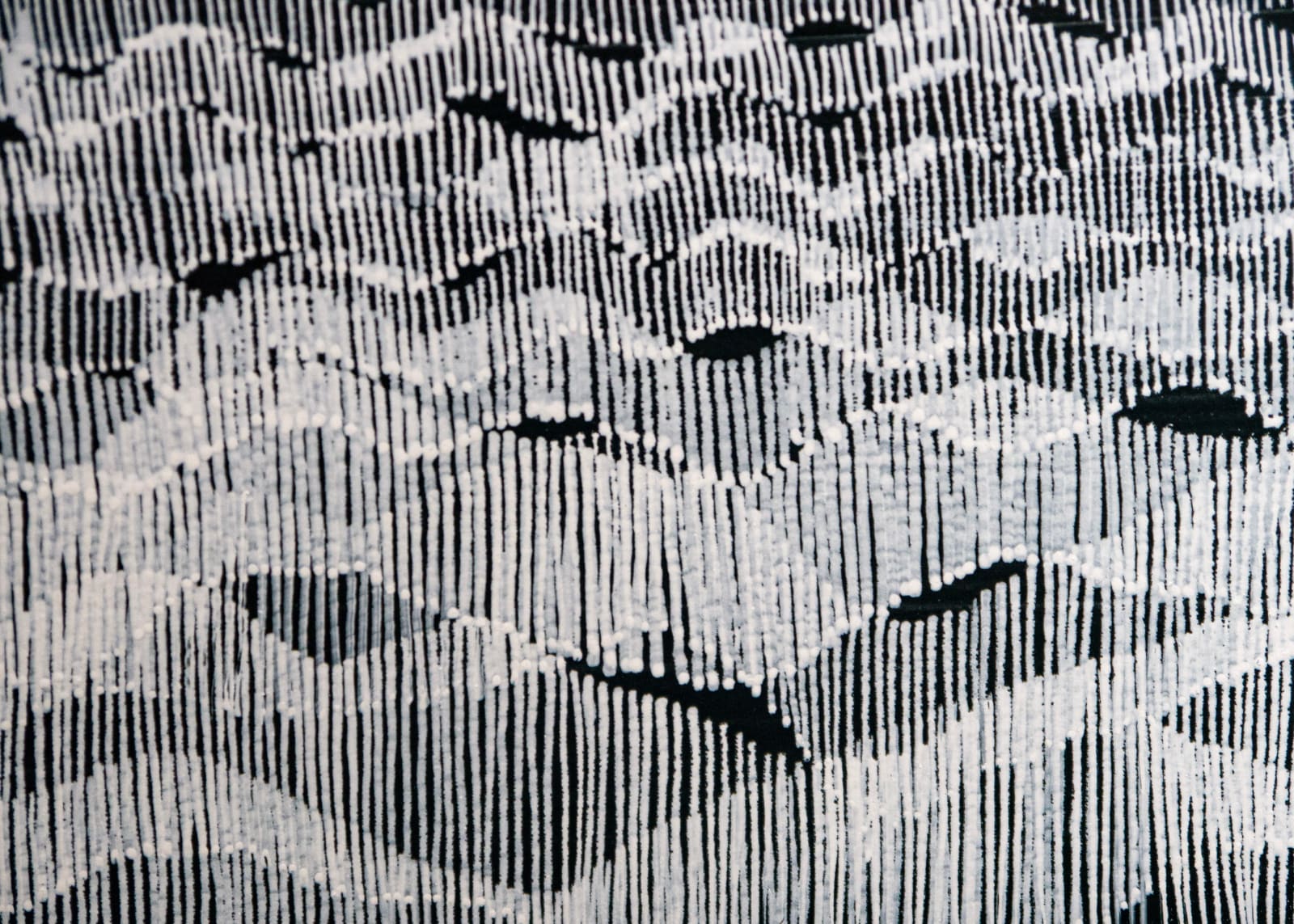 Samantha Clark, Pulse, 2024