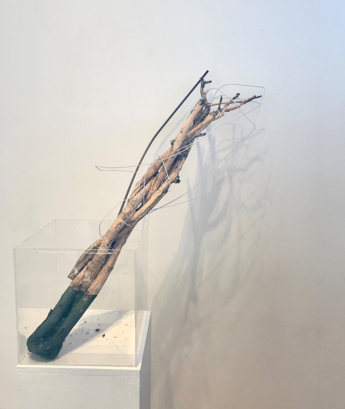 Michael Docherty RSA, Studio Corner - A Conversation with Eduardo, 2017