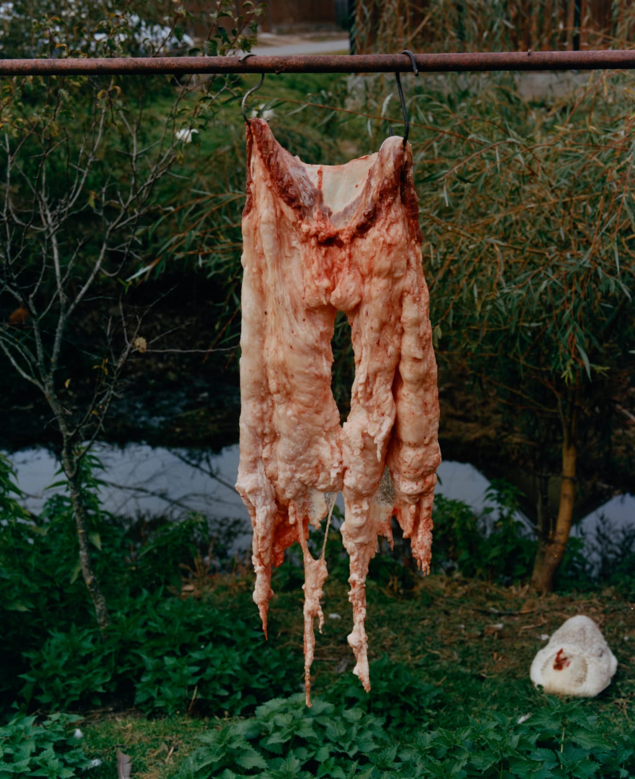 Finn Gibson, Toamnă (Autumn) #2, 2023