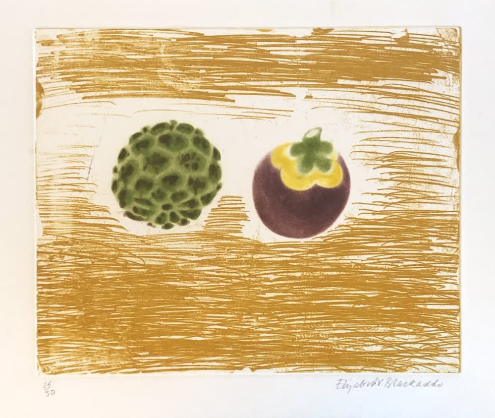 Elizabeth Blackadder RSA, Two Exotic Fruits, 1989