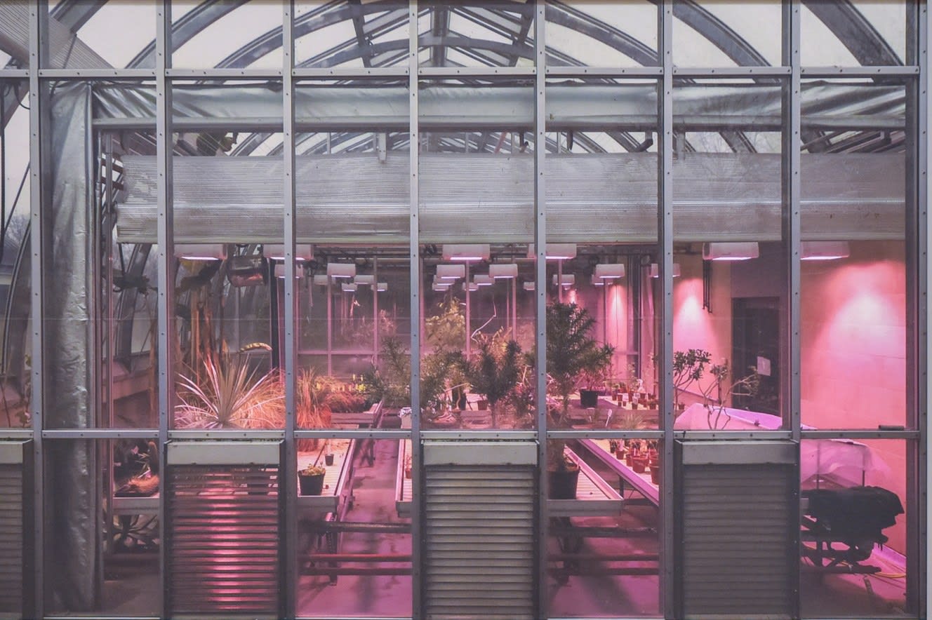 Mhairi Fenton, Don't Tap the Glass II, 2022