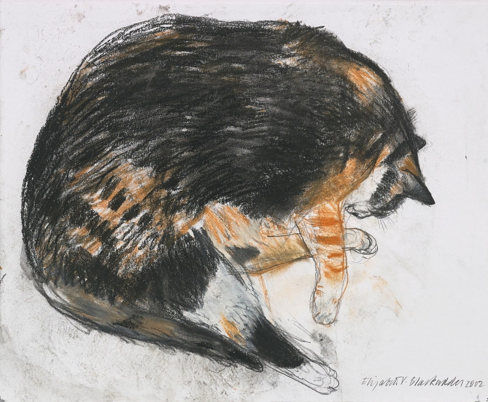 Elizabeth Blackadder RSA, Kikko Asleep, 2002