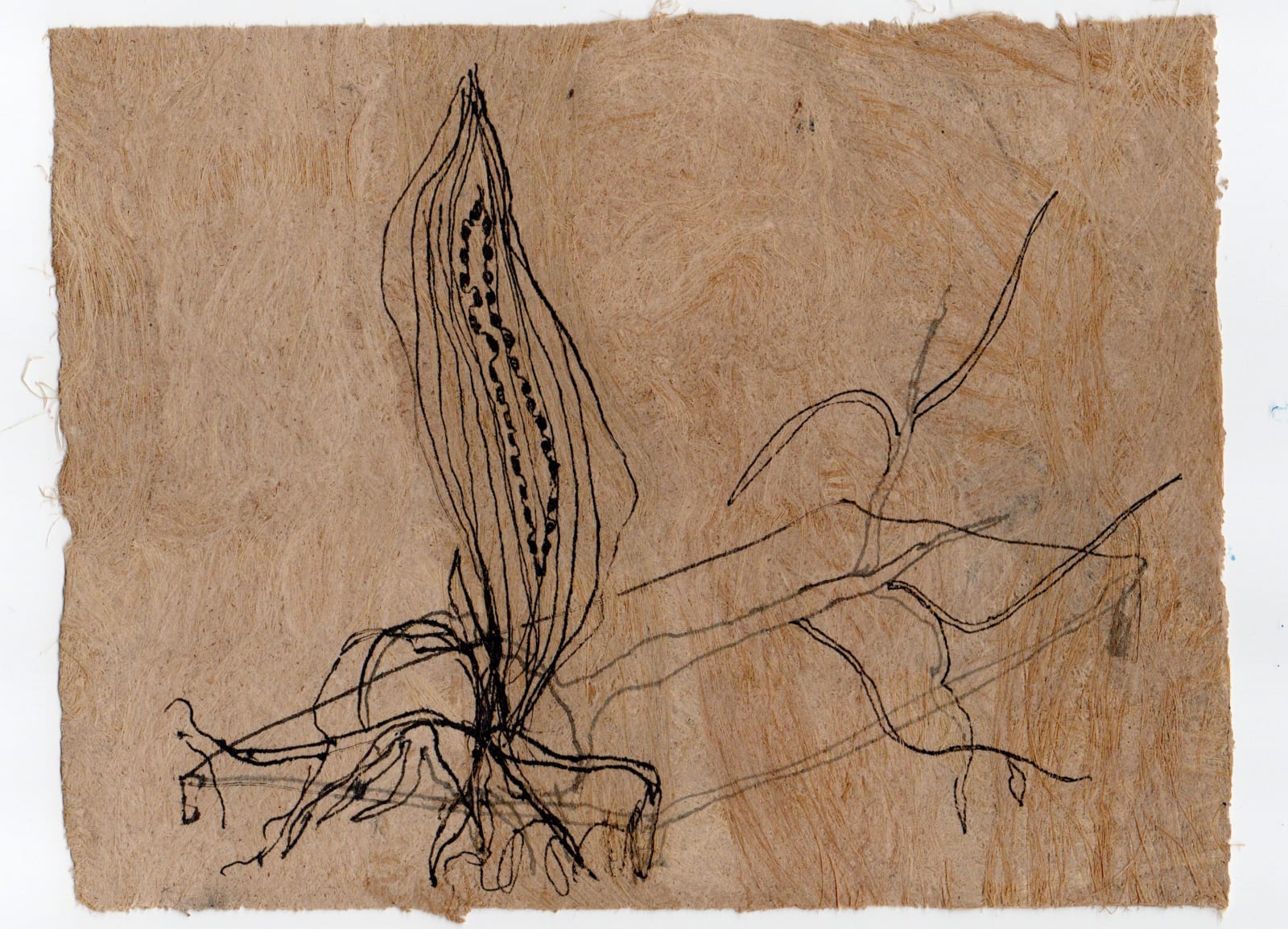 Gosia Walton, I want to be a tree 1, 2025