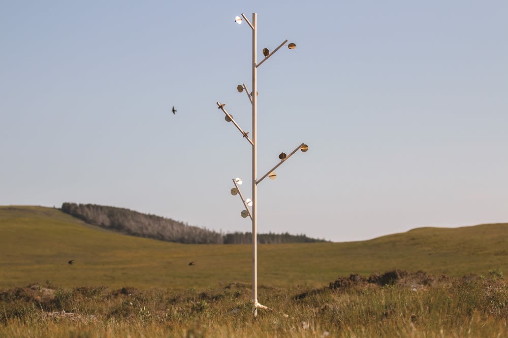 Hannah Imlach, Birch Anemometer, 2018
