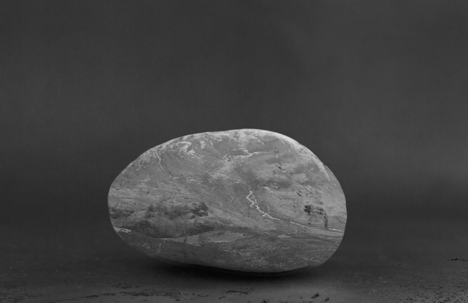 Sherry Trimon, Untitled 5, 2020