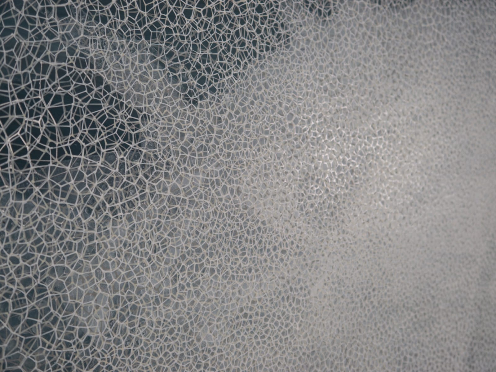 Samantha Clark, Wave Cloud Breath, 2024