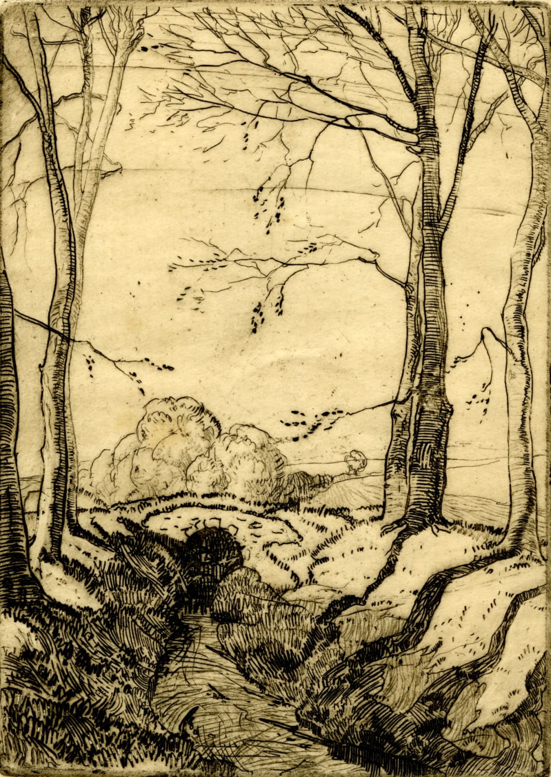 William Gillies RSA, Letham Burn Beeches, Haddington, 1922