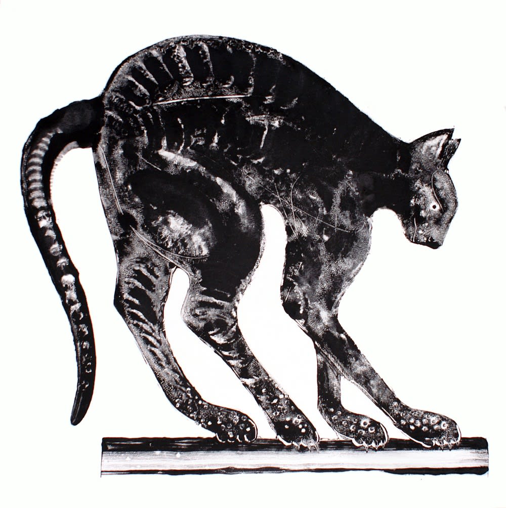 Stuart MacKenzie RSA, Black Cat