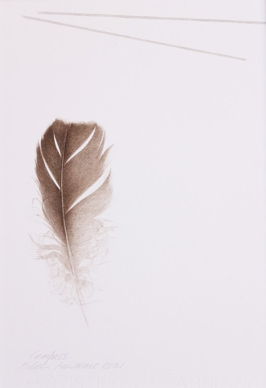 Eileen Lawrence RSA, Compass, 2021