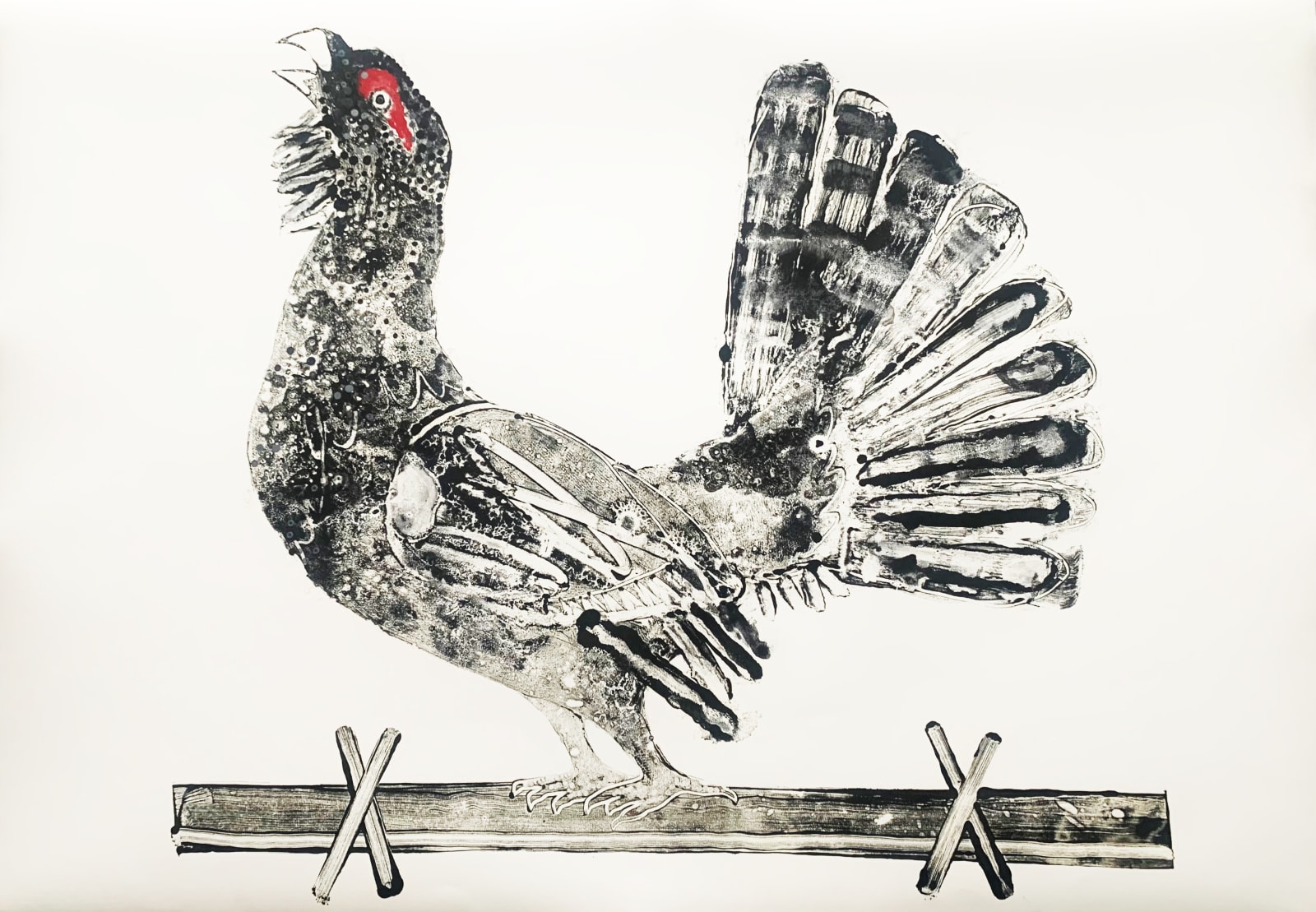 Stuart MacKenzie RSA, Species Morphology: Capercaillie II, 2021