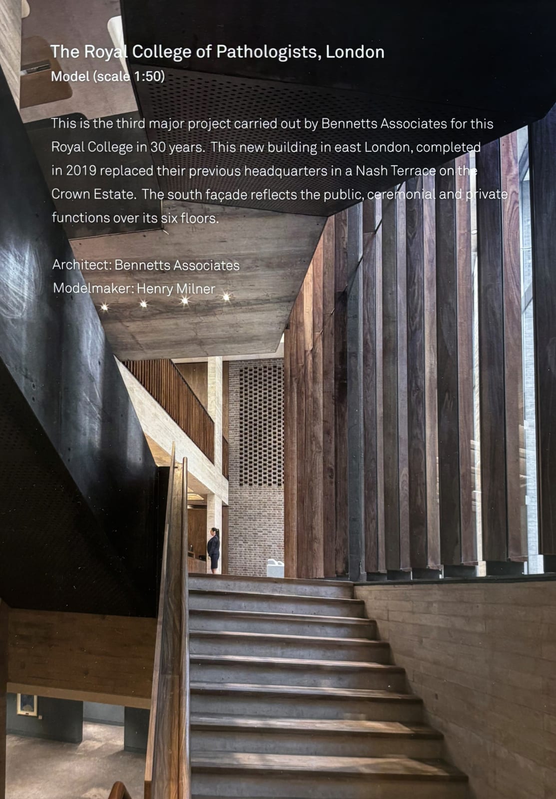 Rab Bennetts RSA - Bennetts Associates, Royal College of Pathologists, London, 2025