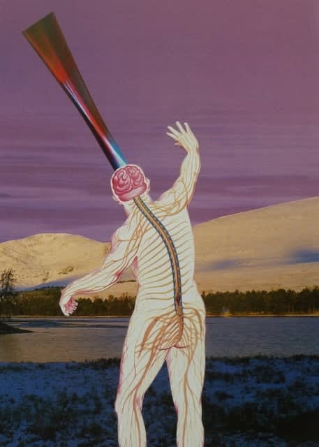 Doug Cocker RSA, CALL OF THE WILD (1), 2020