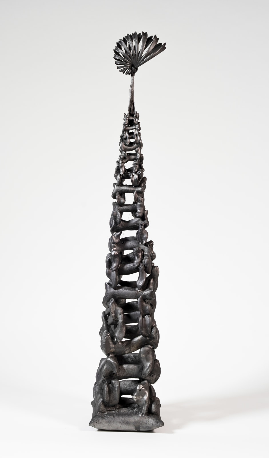 Michał Staszczak, Lost Wonder (from the Cabinet of Curiosities), 2021