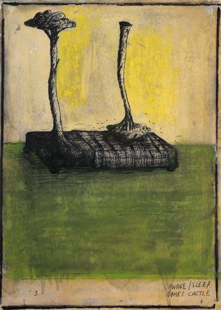 James Castle RSA, Awake and Asleep