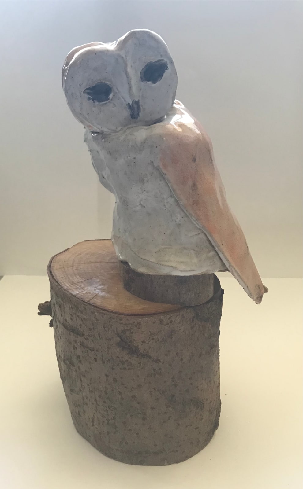 Austin Evans, 3rd Prize, Junior Category