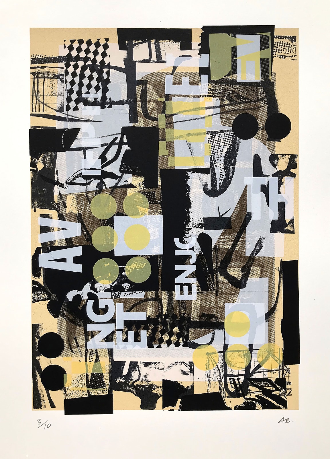 Alfons Bytautas RSA, Belonging, 2019