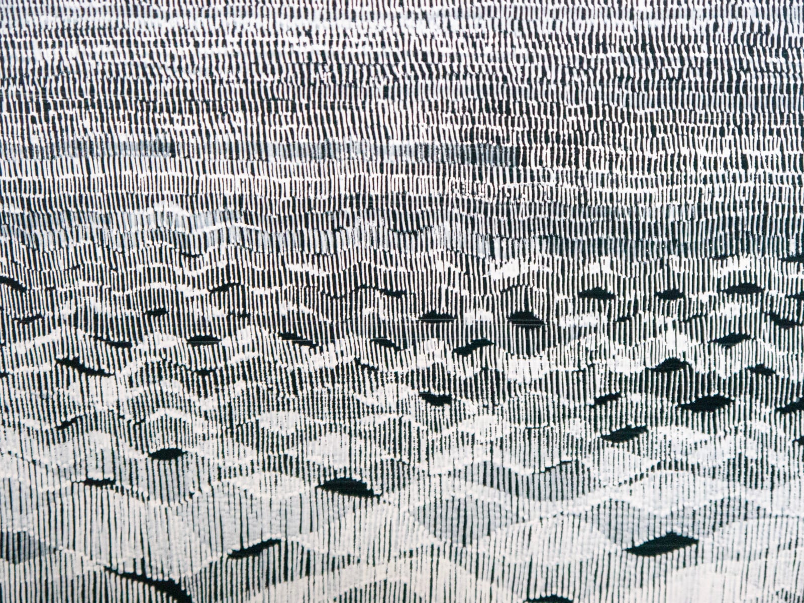 Samantha Clark, Pulse, 2024