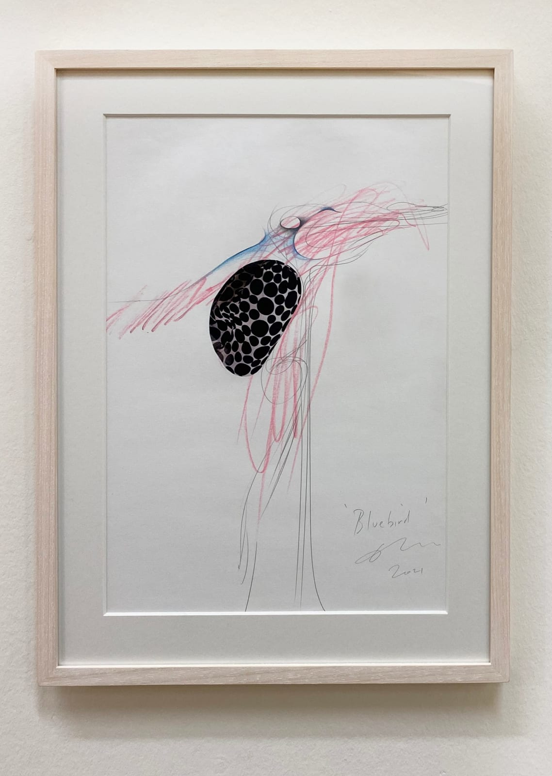 Gareth Fisher PRSA, Bluebird, 2021