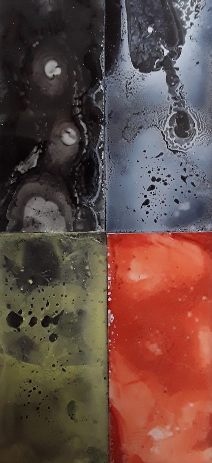 Glen Onwin RSA, all things have wisdom and a portion of thought