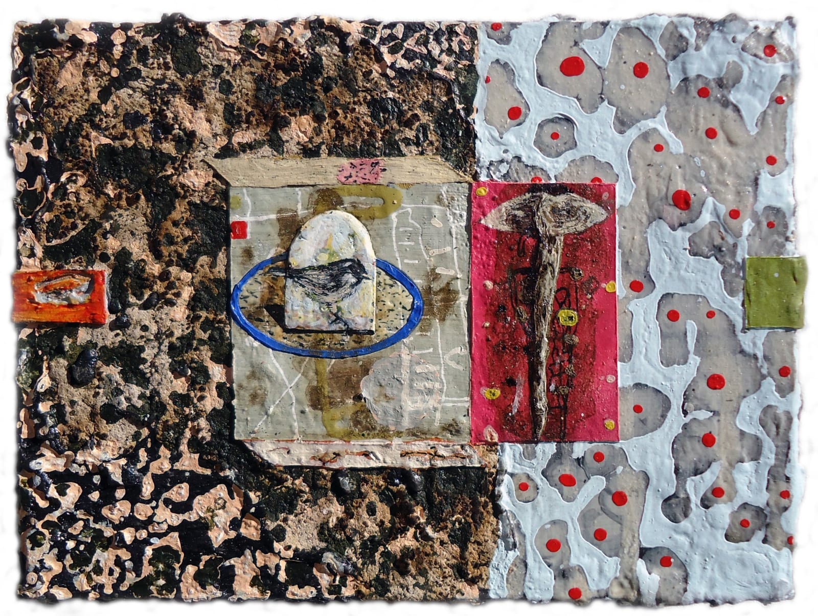 Lennox Dunbar RSA, Californian Study