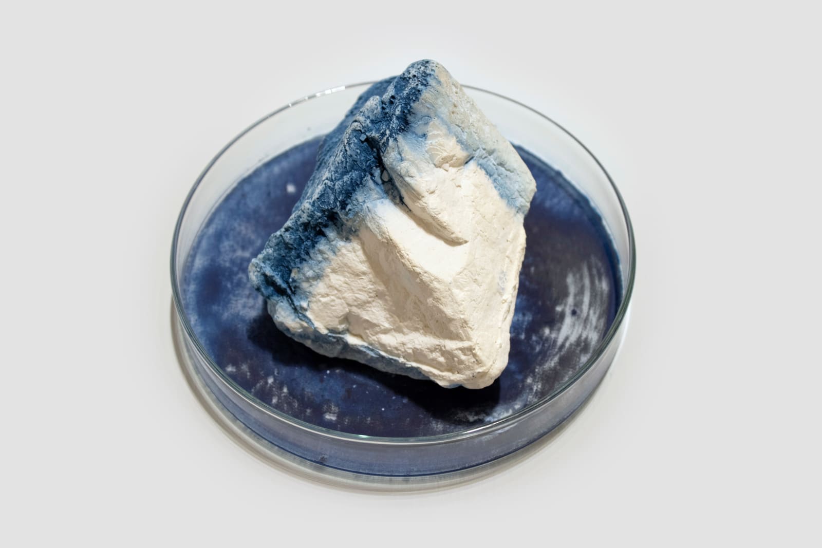 Anne Bevan RSA (Elect) + Mark Edmonds, all manner of singular forms (Erratic 1), 2024