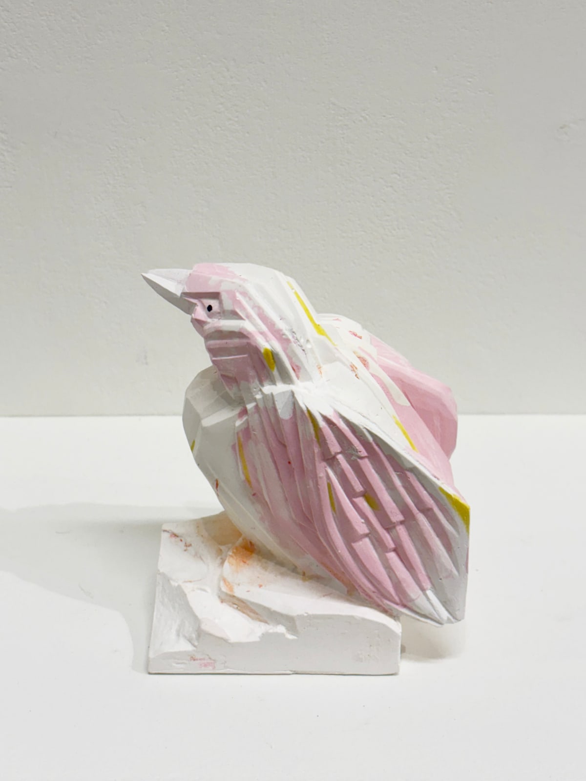 Gareth Fisher PRSA, Darwin's Crossbill 4