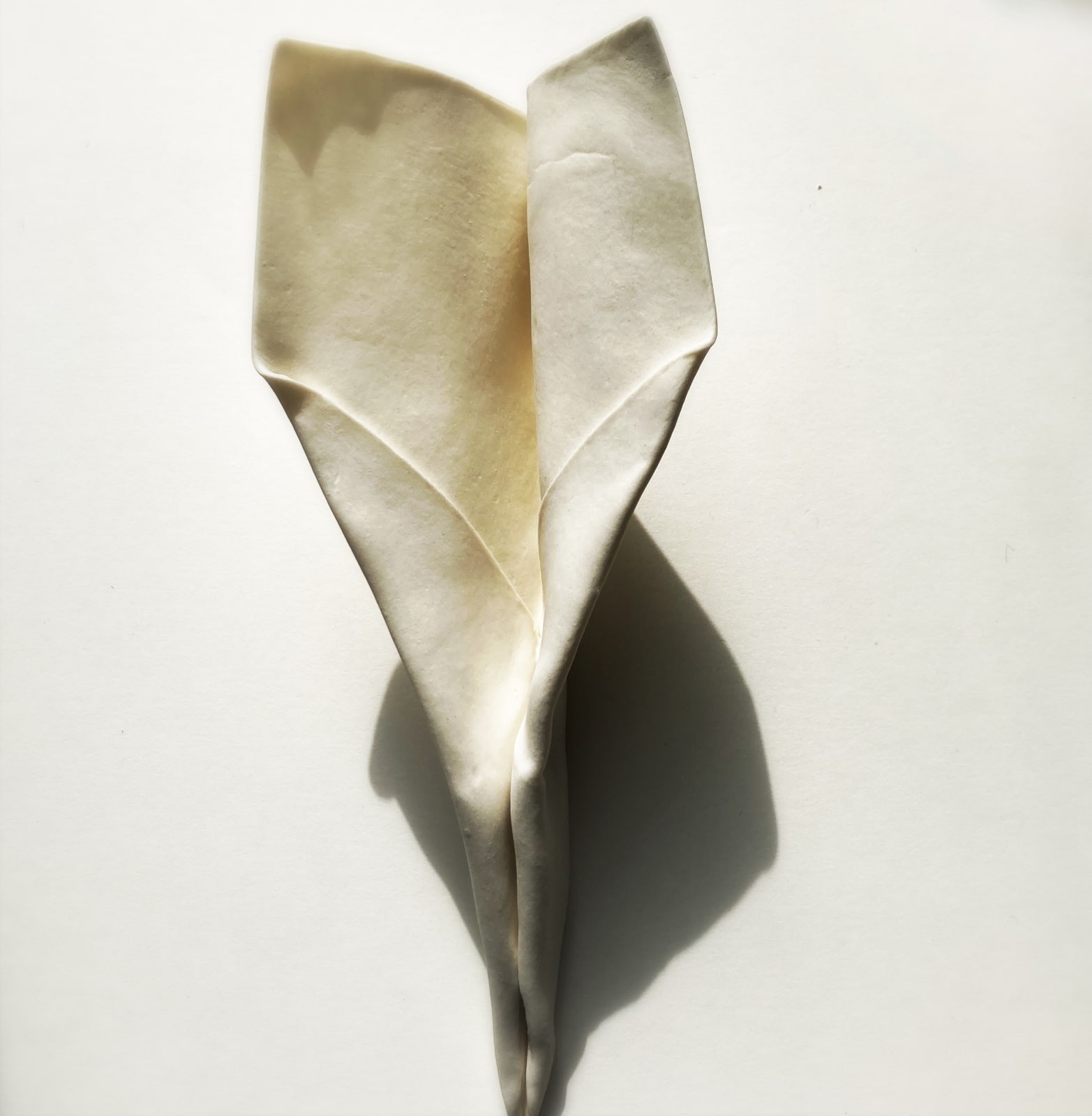 Leena Nammari RSA (Elect), Grounded III, 2021