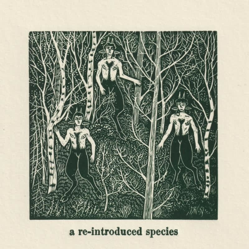 Jack Conkie, A Re-Introduced Species, 2024