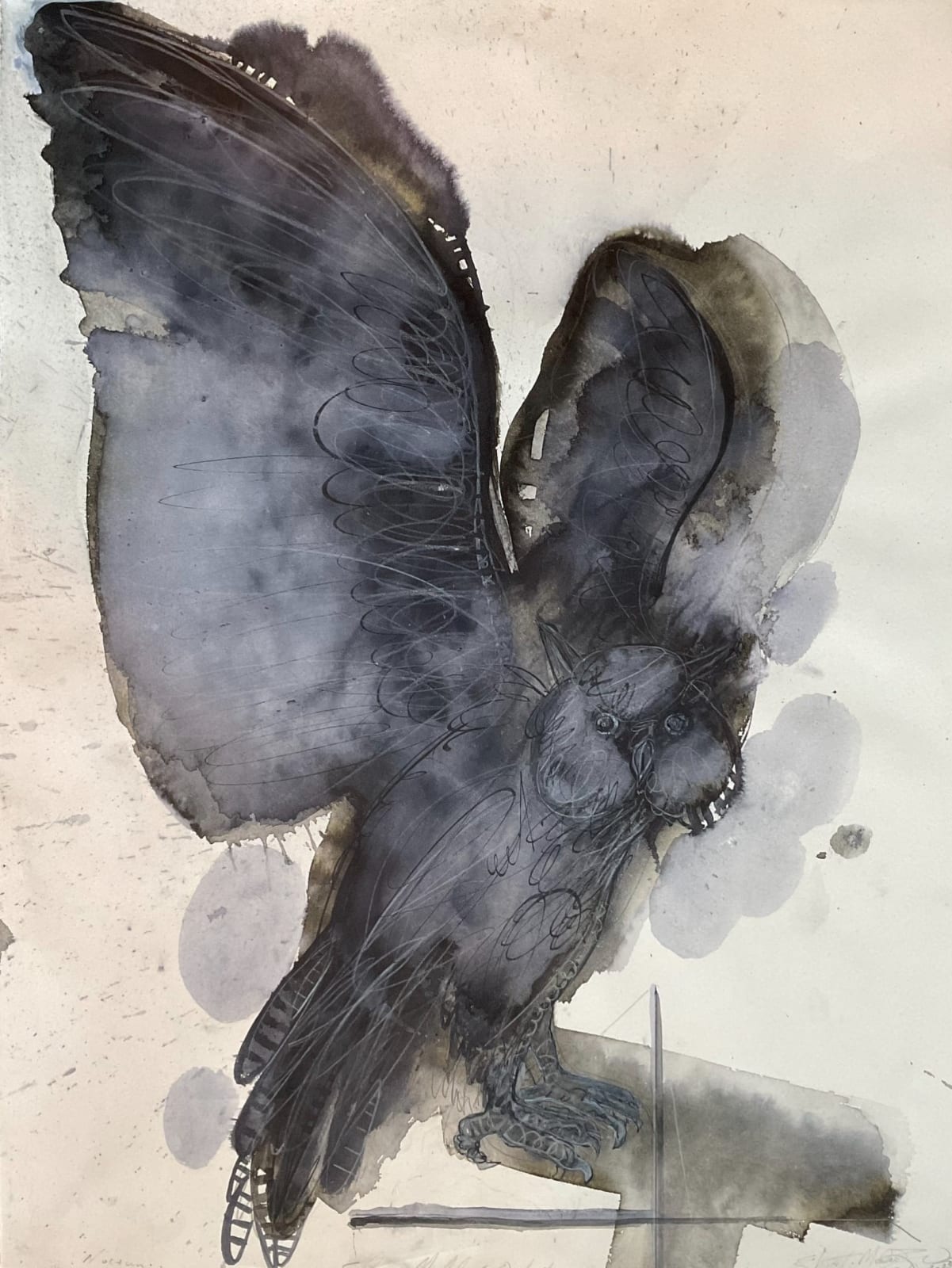 Stuart Mackenzie RSA, Owl: Nocturn. Species Morphology