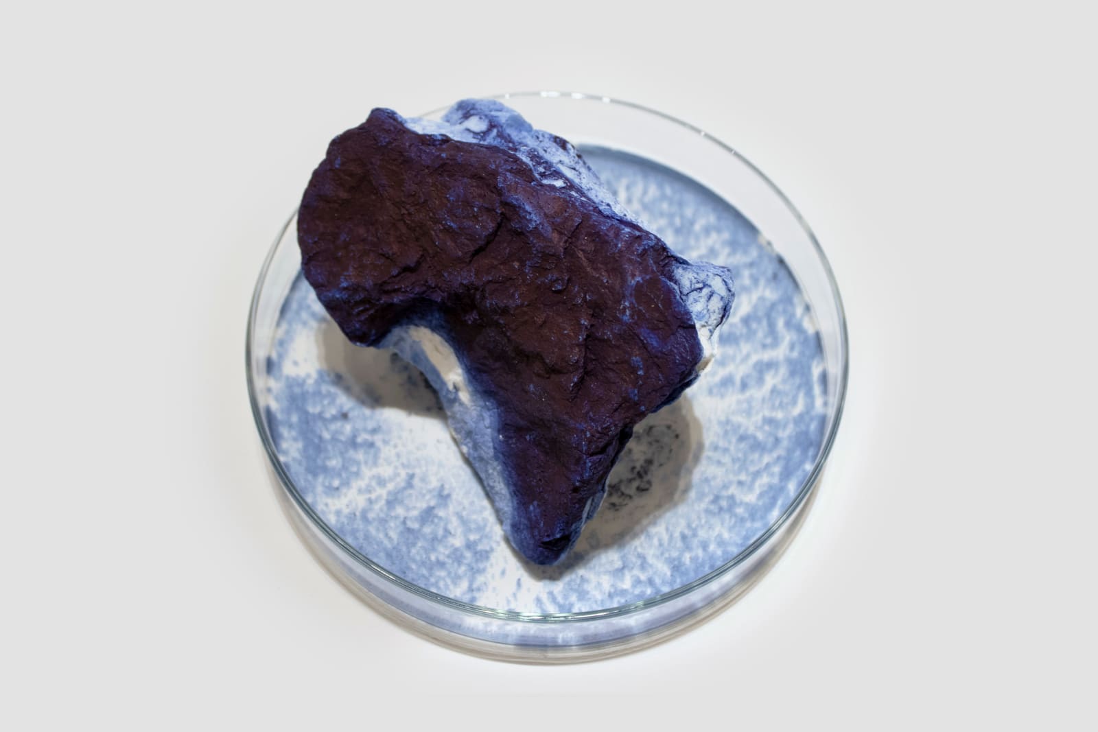 Anne Bevan RSA (Elect) + Mark Edmonds, all manner of singular forms (Erratic 7), 2024
