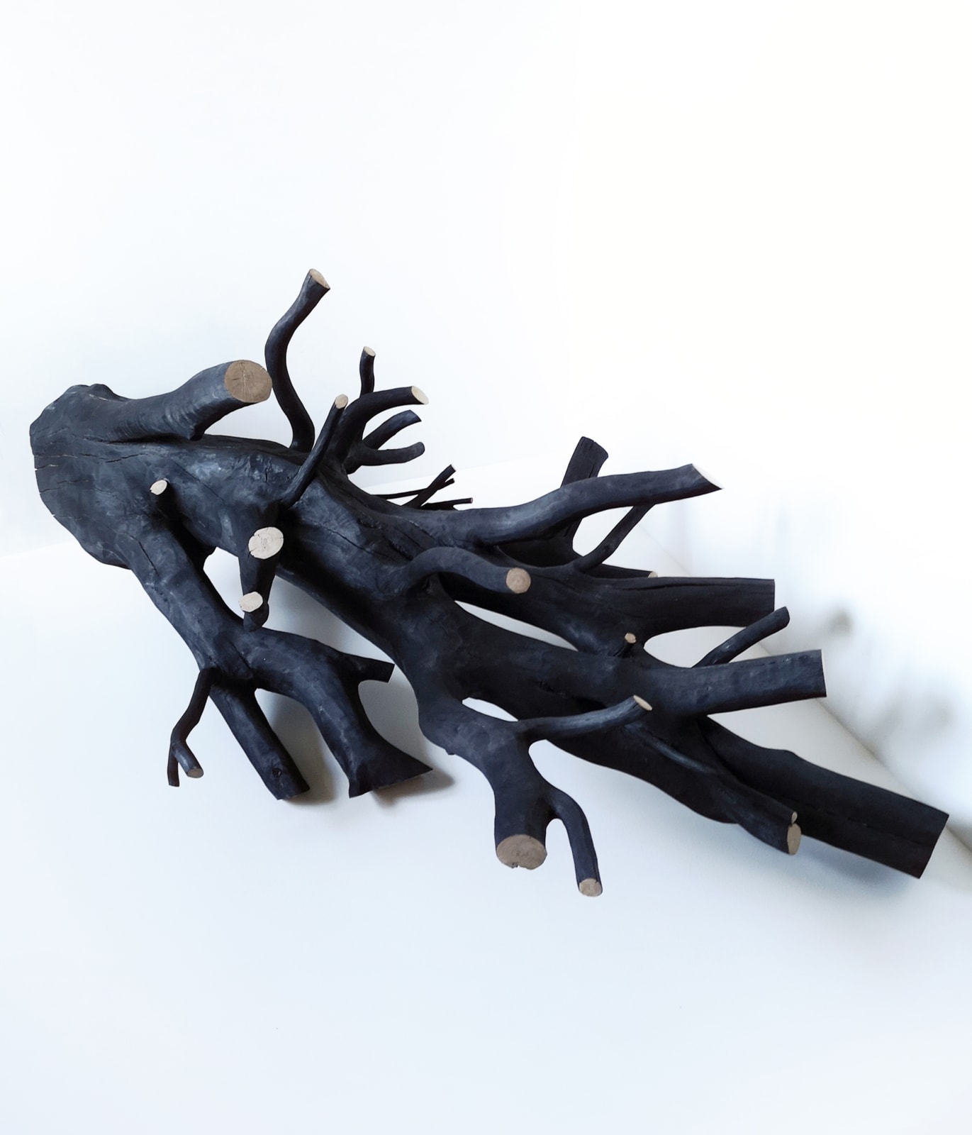 Richard Goldsworthy, Intertwined, 2020
