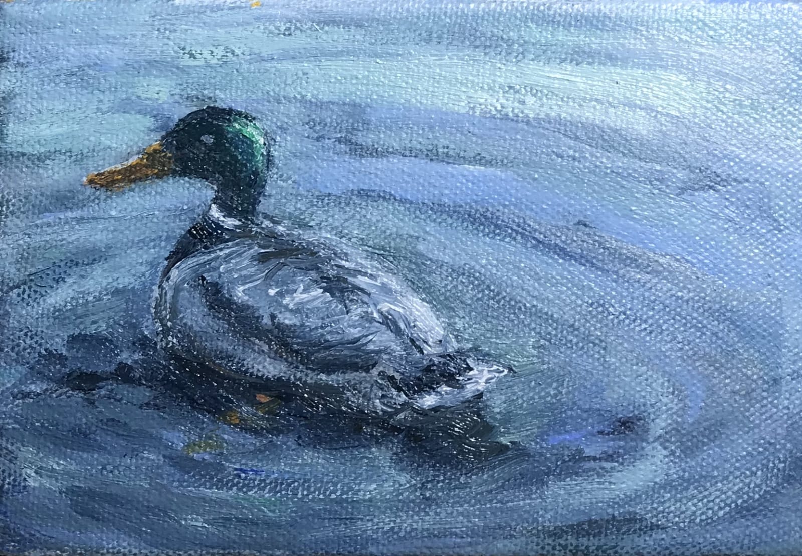 Henry Kondracki RSA, Duck