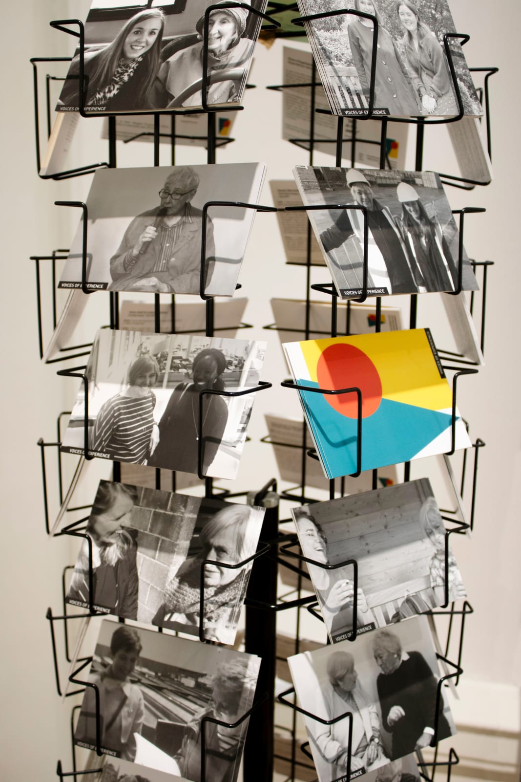 Voices of Experience, Voices of Experience – In Conversation