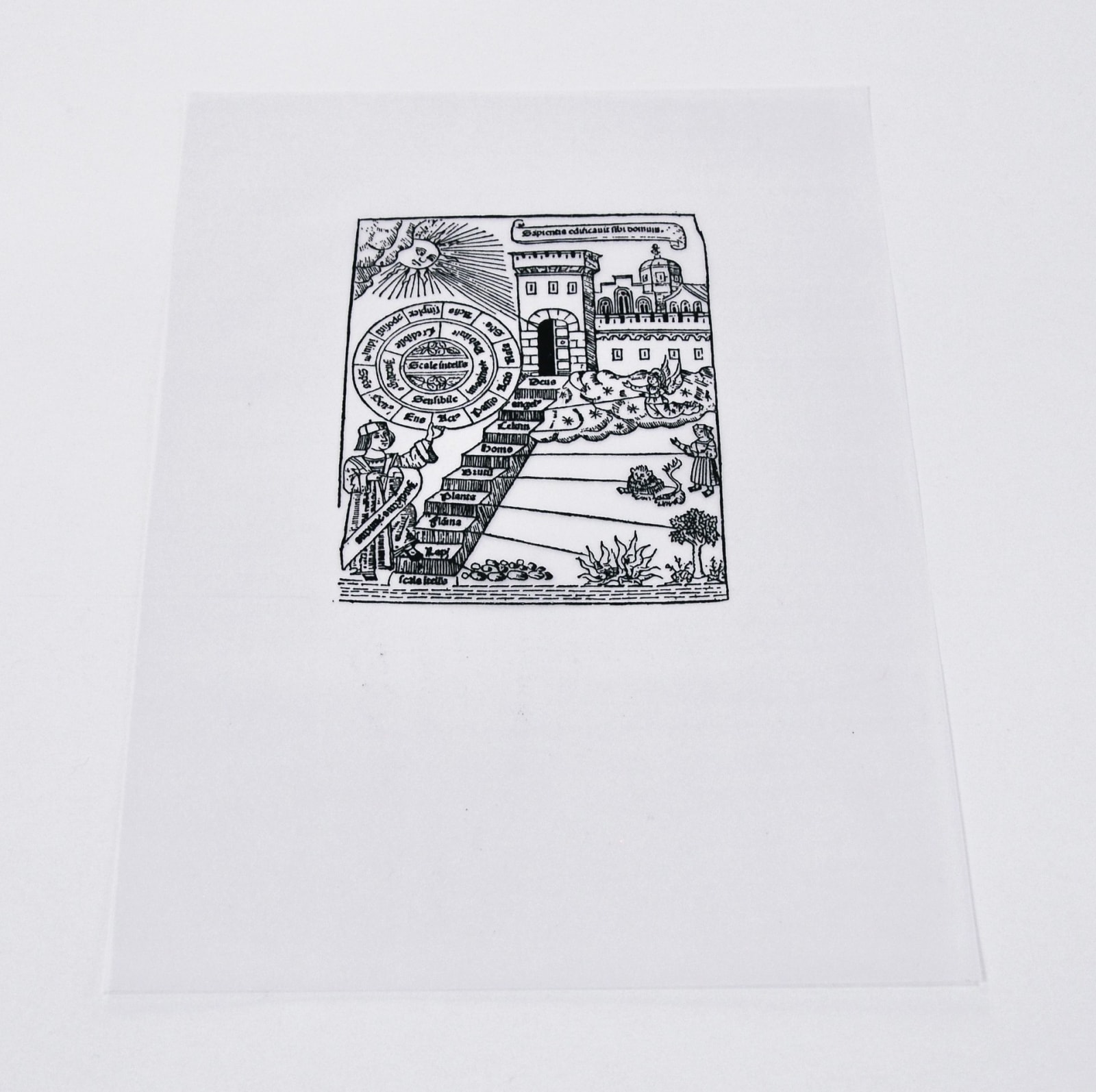 Glen Onwin RSA, Flammable Solid / Flammable Liquid, 1994