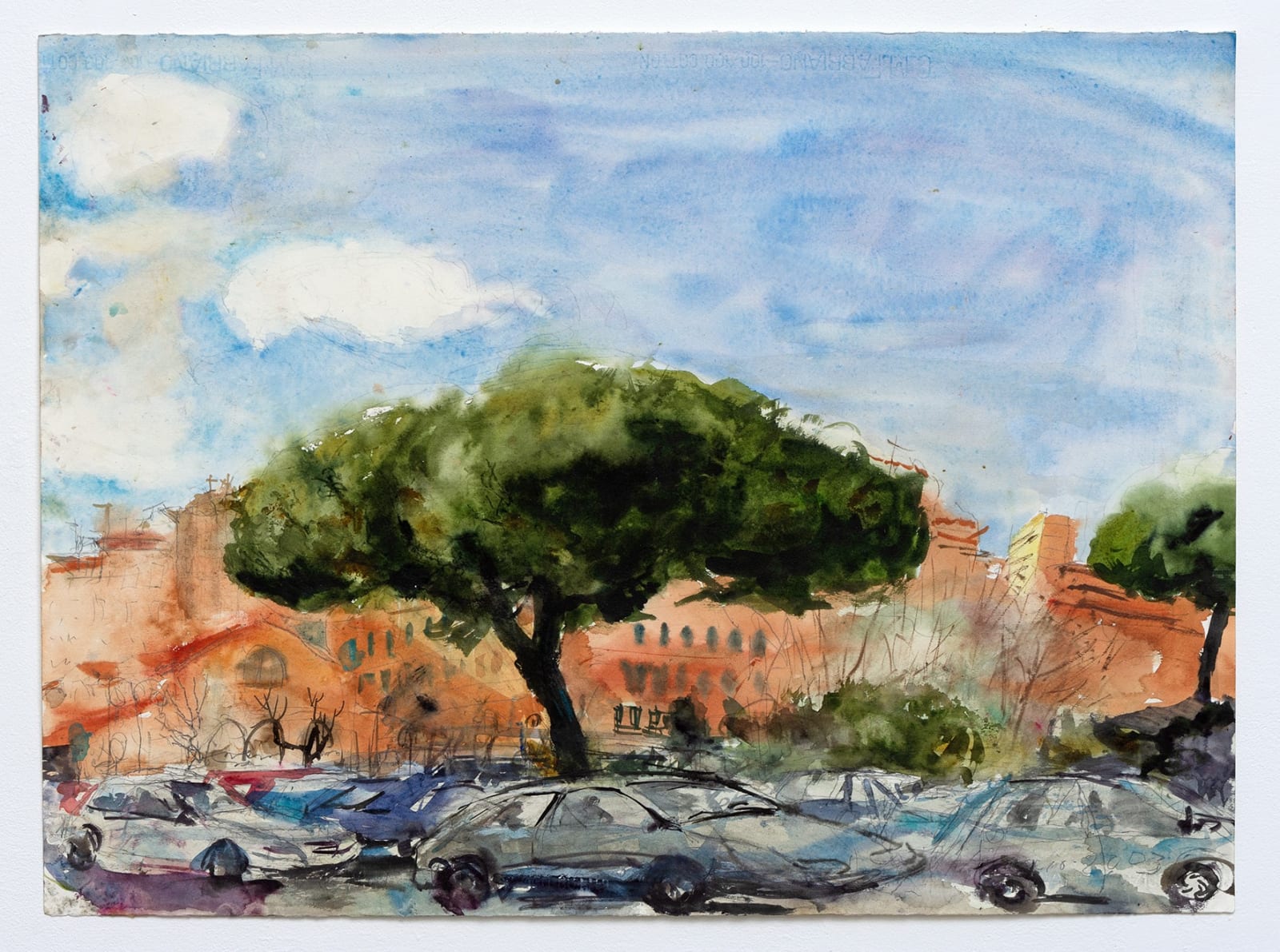 Kate Downie RSA, The Parasol Pine, Corsica