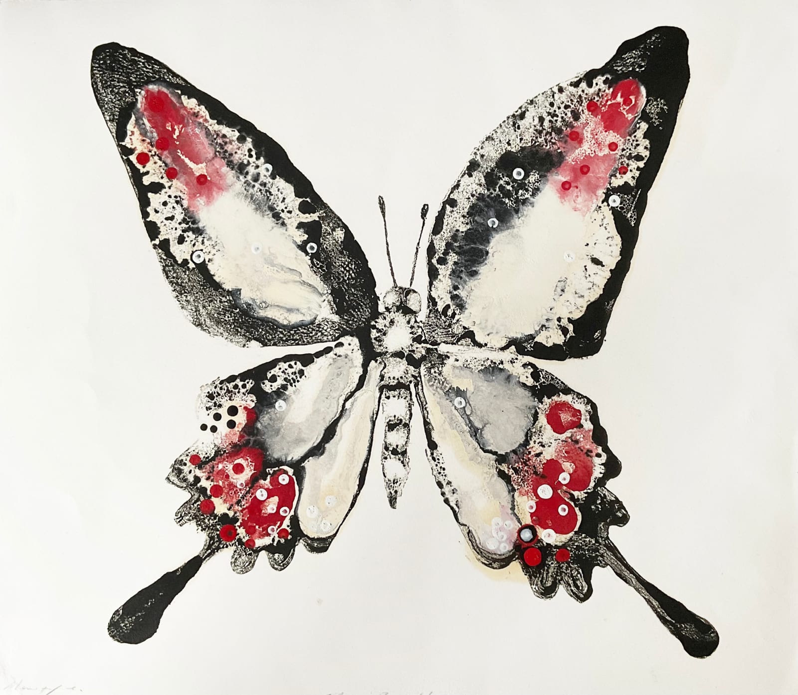 Stuart Mackenzie RSA, Species Morphology Summer Butterfly 1, 2025