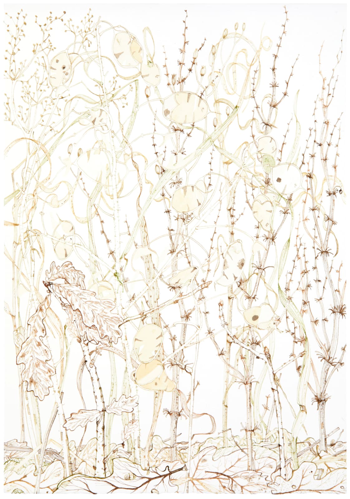 Jane Hyslop RSA, February Collection I, Midlothian, 2021