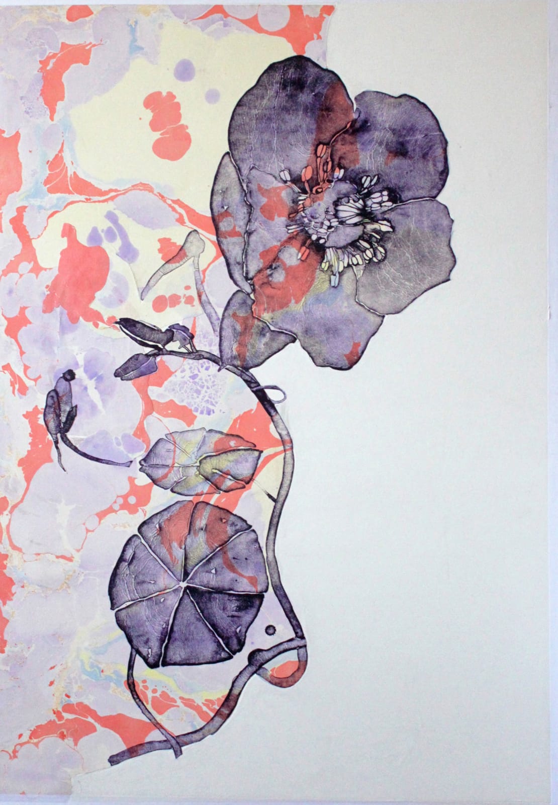 Elspeth Lamb RSA, Christmas Rose