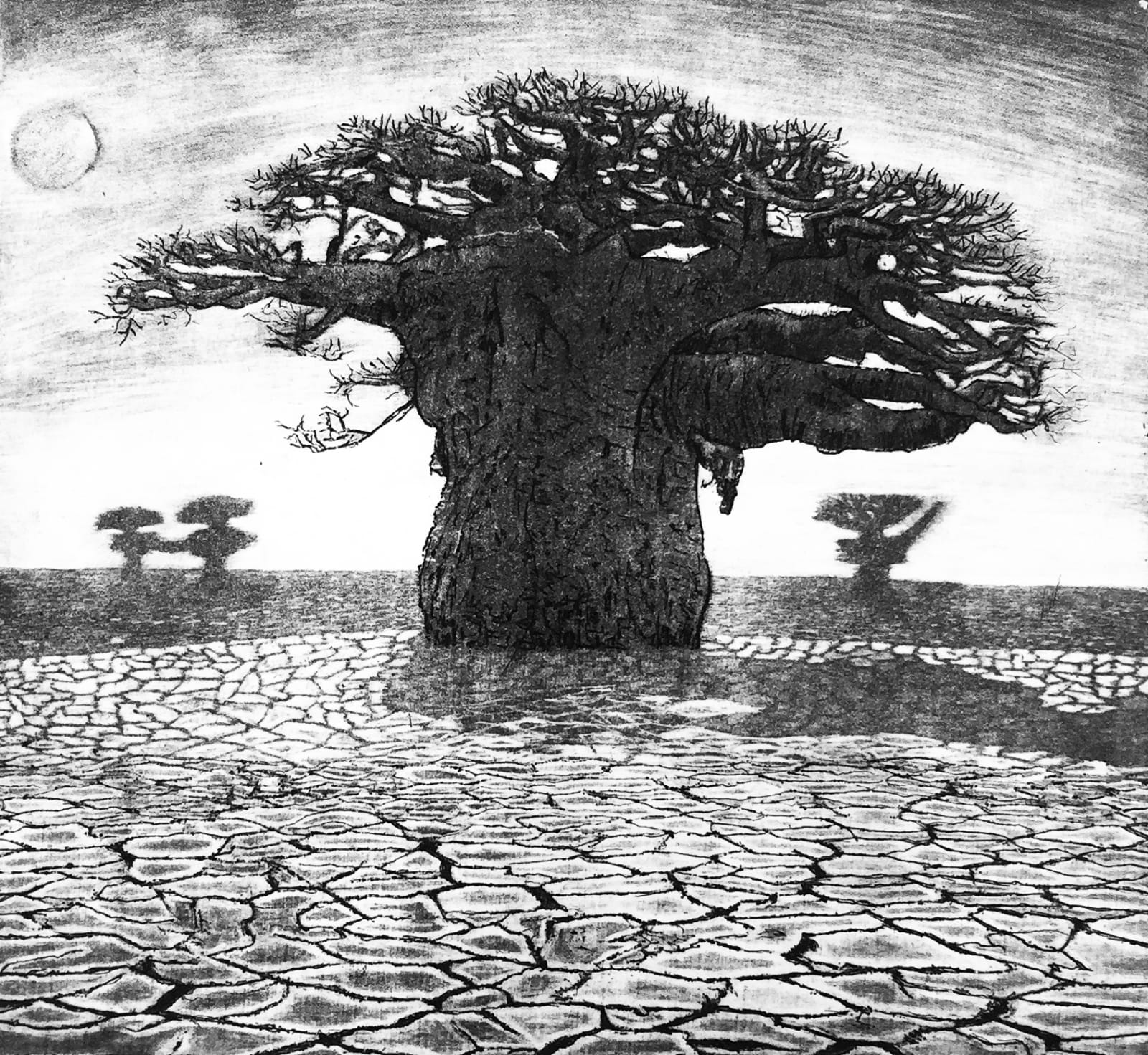 Ade Adesina RSA, Reflections, 2016