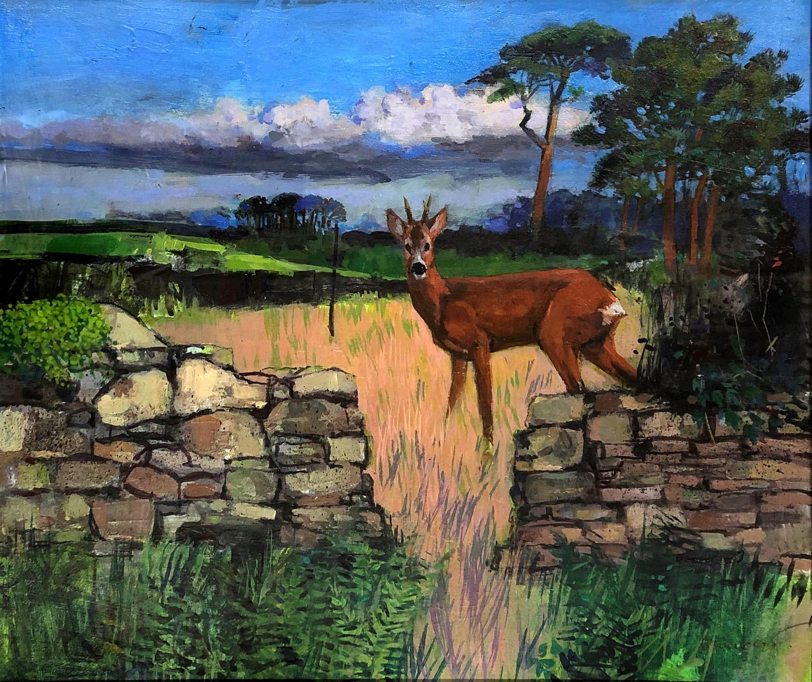 George Donald RSA, Young Roe: Grueldykes , 2023