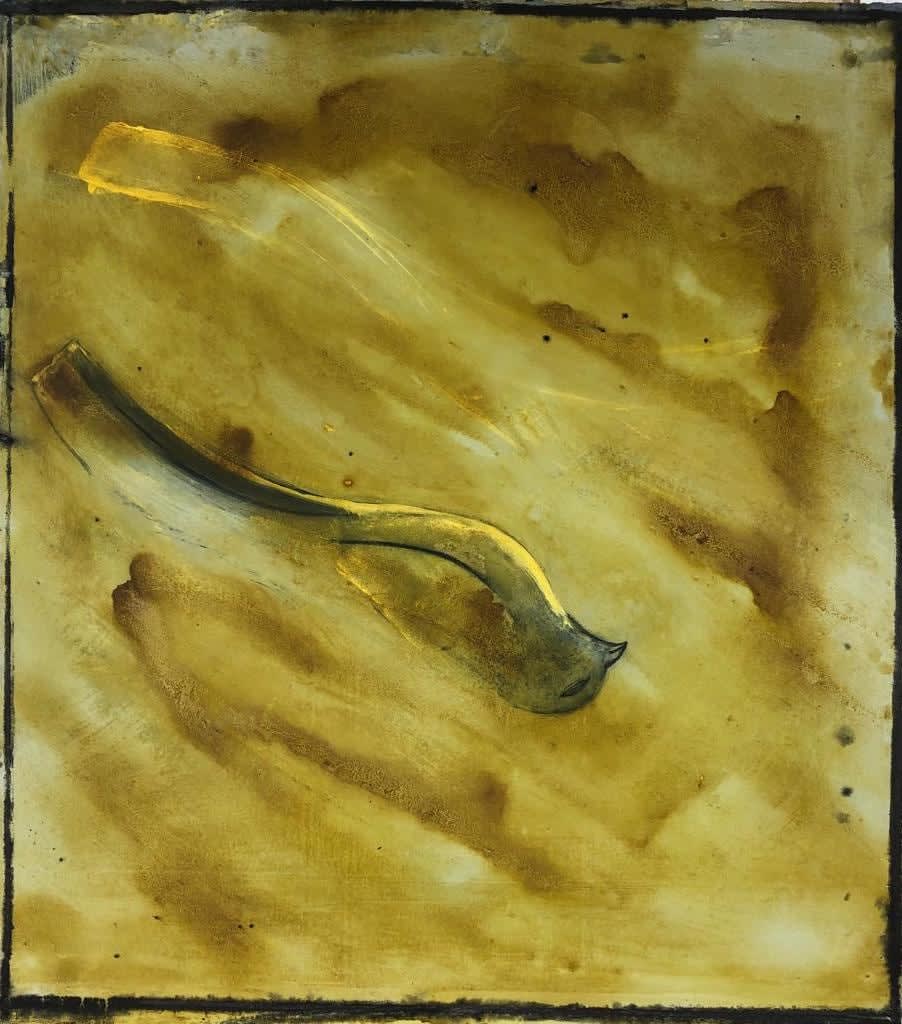 James Castle RSA, Glider