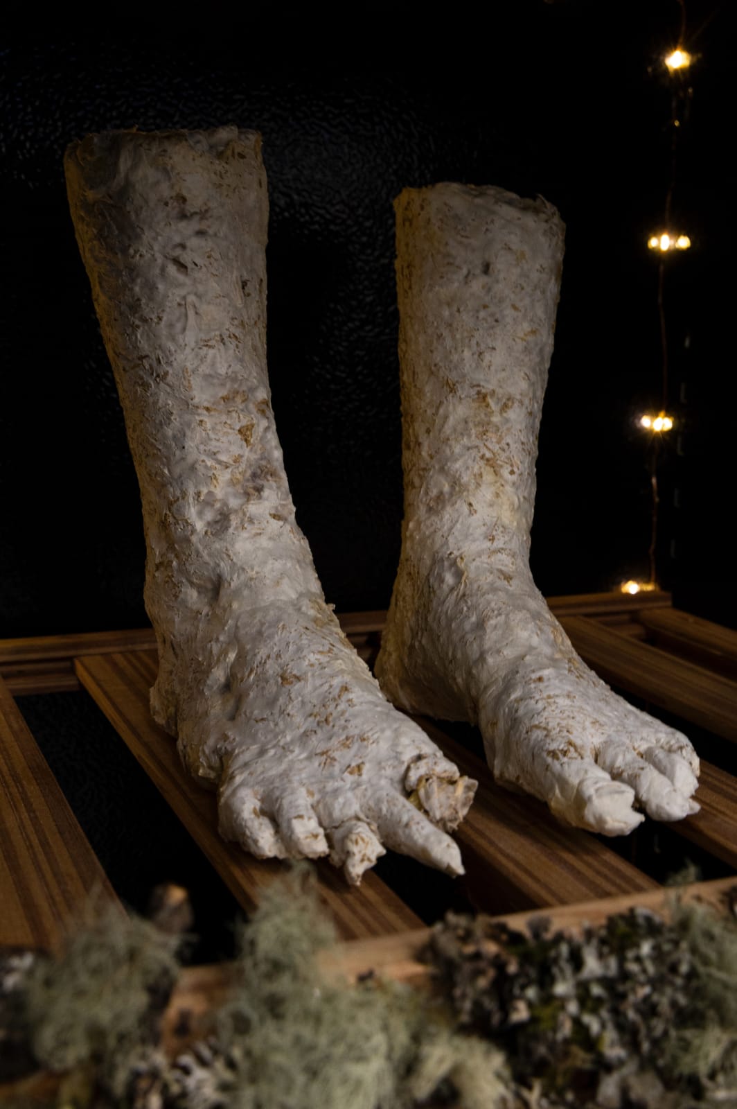 Rachy McEwan, Sympoiesis, 2021