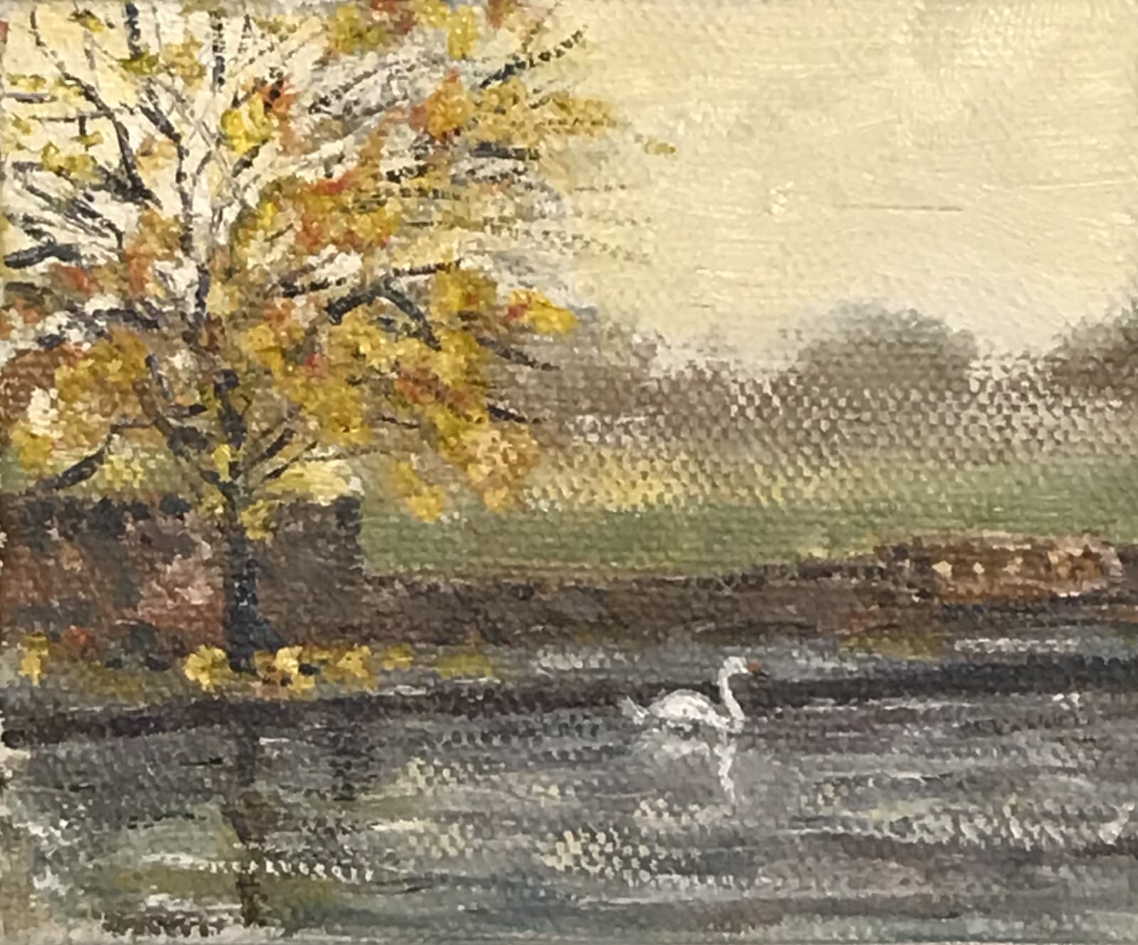 Henry Kondracki RSA, Swan, 2020