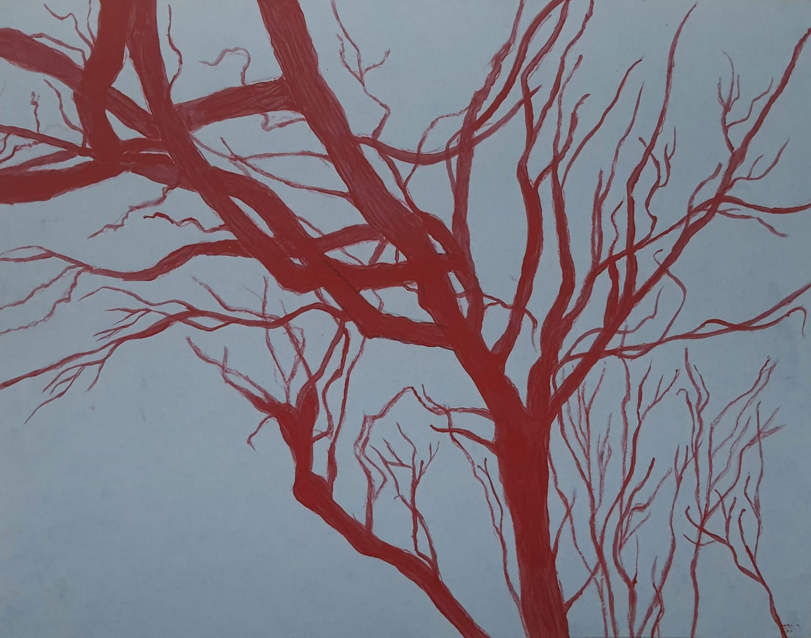 Sam Ainsley RSA, The red shadow tree