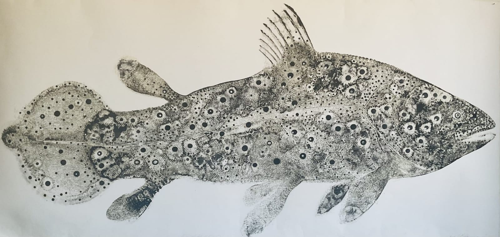 Stuart Mackenzie RSA, Species Morphology: Coelacanth 1, 2025