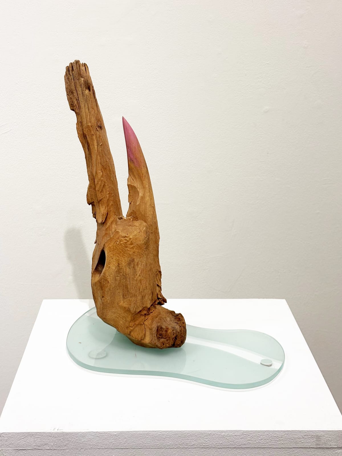 Gareth Fisher PRSA, Morfologica