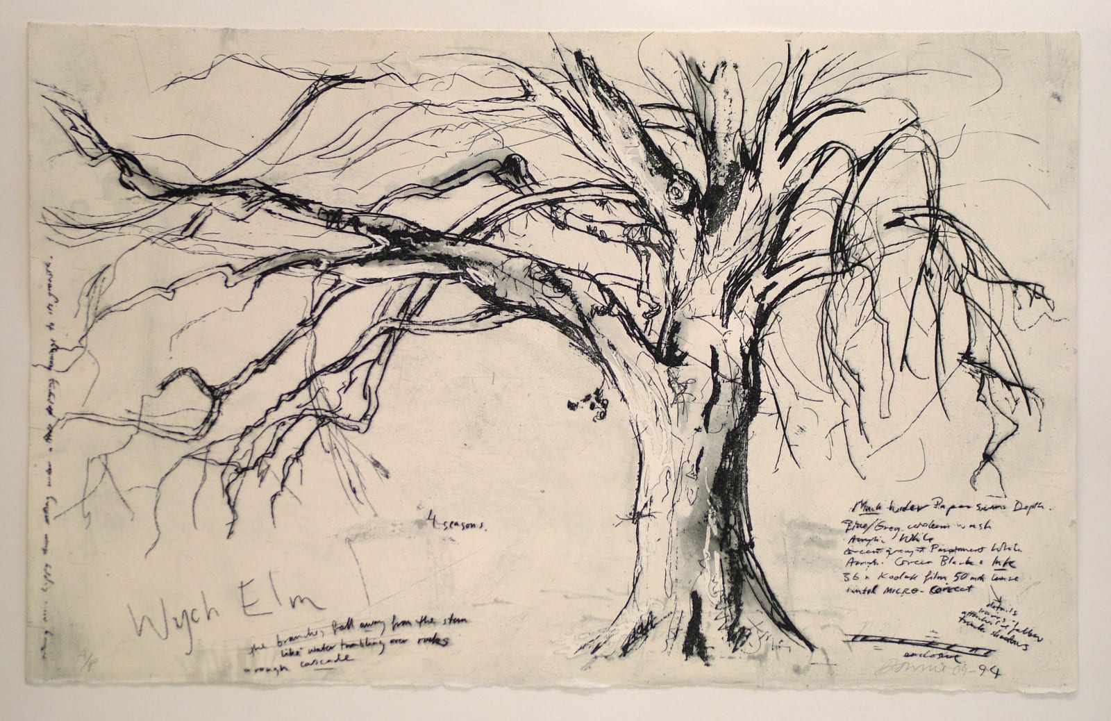 Kate Downie RSA, Wych Elm, 2009